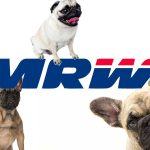 enviar un perro por MRW